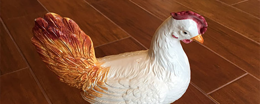 How did this Chicken cross the Atlantic?