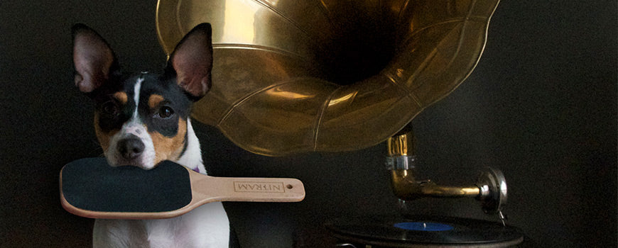 Ollie can't carry a tune… but,